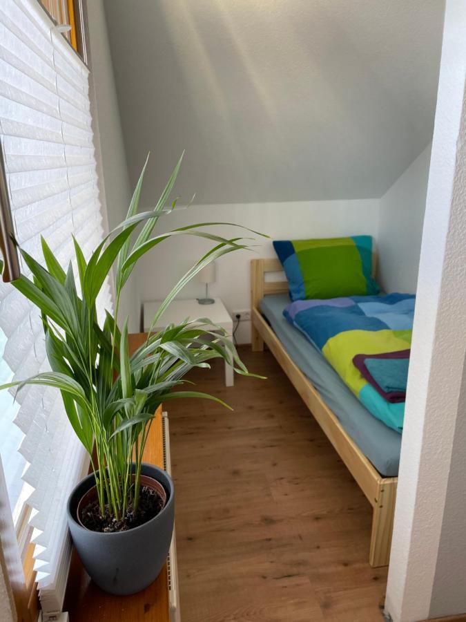 Ferienwohnung An Der Romantischen Strasse Direkt A3 Und A81 Eisingen  外观 照片